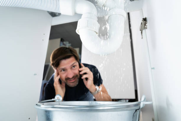 Best Sprinkler Systems  in Corrales, NM